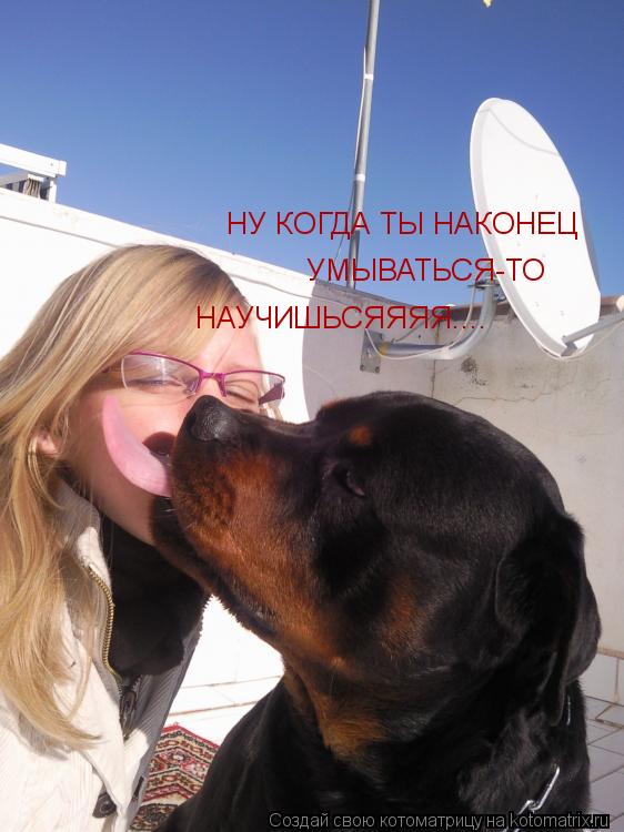 Котоматрица: НУ КОГДА ТЫ НАКОНЕЦ  УМЫВАТЬСЯ-ТО НАУЧИШЬСЯЯЯЯ....