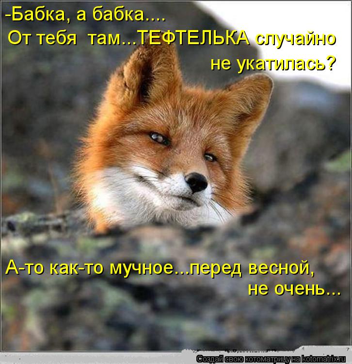 -Бабка, а бабка.... От тебя там...ТЕФТЕЛЬКА случайно не укатилась? не очень... А-то как-то мучное...... Котоматрица: -Бабка, а бабка.... От тебя там...ТЕФТЕЛЬКА случайно не укатилась? не очень... А-то как-то мучное...перед весной,