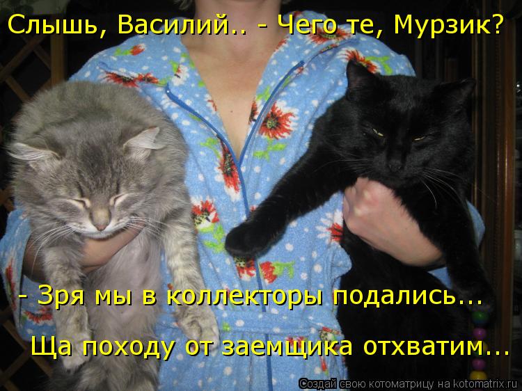 Котоматрица: Слышь, Василий.. - Чего те, Мурзик? - Зря мы в коллекторы подались...  Ща походу от заемщика отхватим...