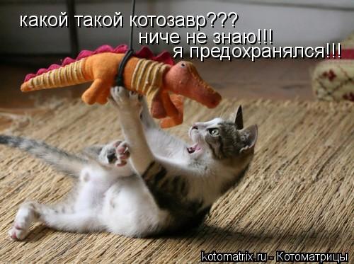 Котоматрица: какой такой котозавр??? ниче не знаю!!! я предохранялся!!!