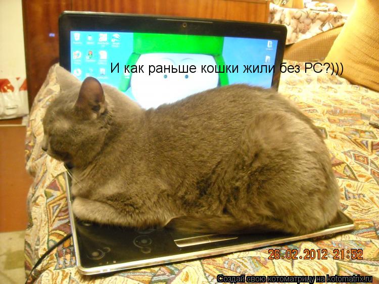 И как раньше кошки жили без PC?)))... Котоматрица: И как раньше кошки жили без PC?)))