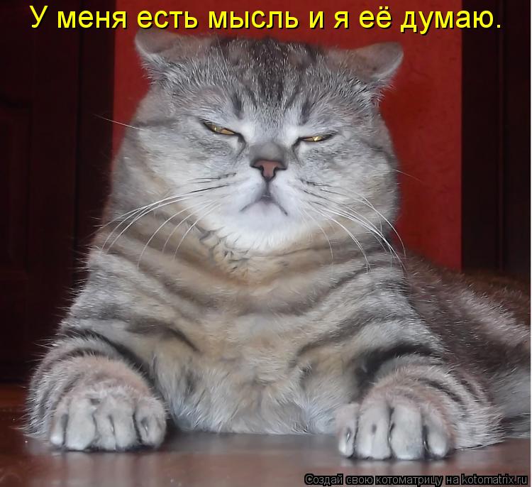 У меня есть мысль и я её думаю.... Котоматрица: У меня есть мысль и я её думаю.