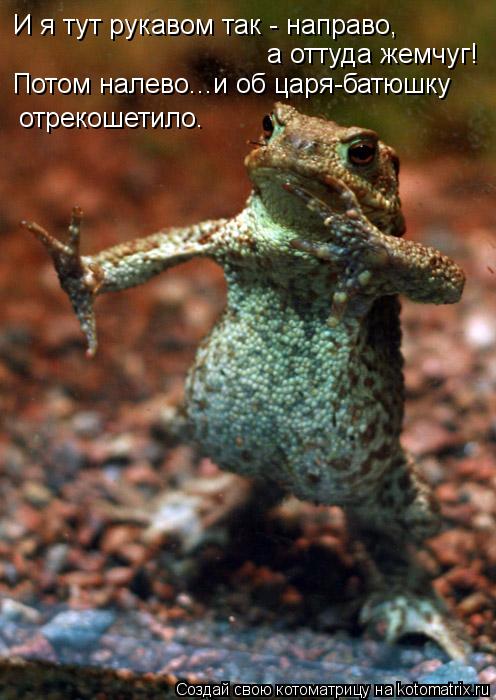 Котоматрица: И я тут рукавом так - направо, а оттуда жемчуг! Потом налево...и об царя-батюшку  отрекошетило.