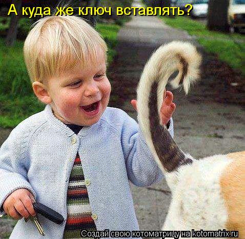 Котоматрица: А куда же ключ вставлять?