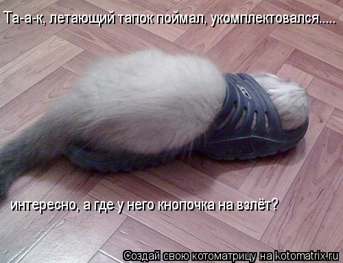 Котоматрица: Та-а-к, летающий тапок поймал, укомплектовался..... интересно, а где у него кнопочка на взлёт?