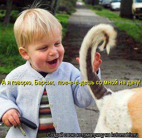 Котоматрица: А я говорю, Барсик,  пое-е-е-дешь со мной на дачу!