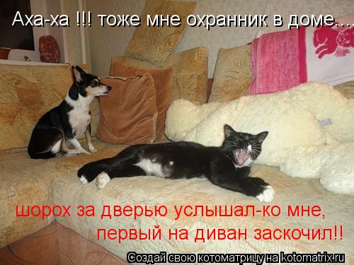 Котоматрица: Аха-ха !!! тоже мне охранник в доме.... первый на диван заскочил!! шорох за дверью услышал-ко мне,