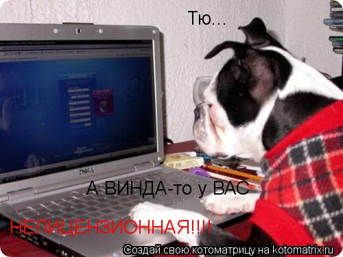 Котоматрица: Тю... А ВИНДА-то у ВАС НЕЛИЦЕНЗИОННАЯ!!!!
