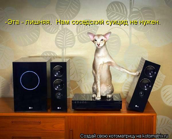-Эта - лишняя. Нам соседский суицид не нужен.... Котоматрица: -Эта - лишняя. Нам соседский суицид не нужен.