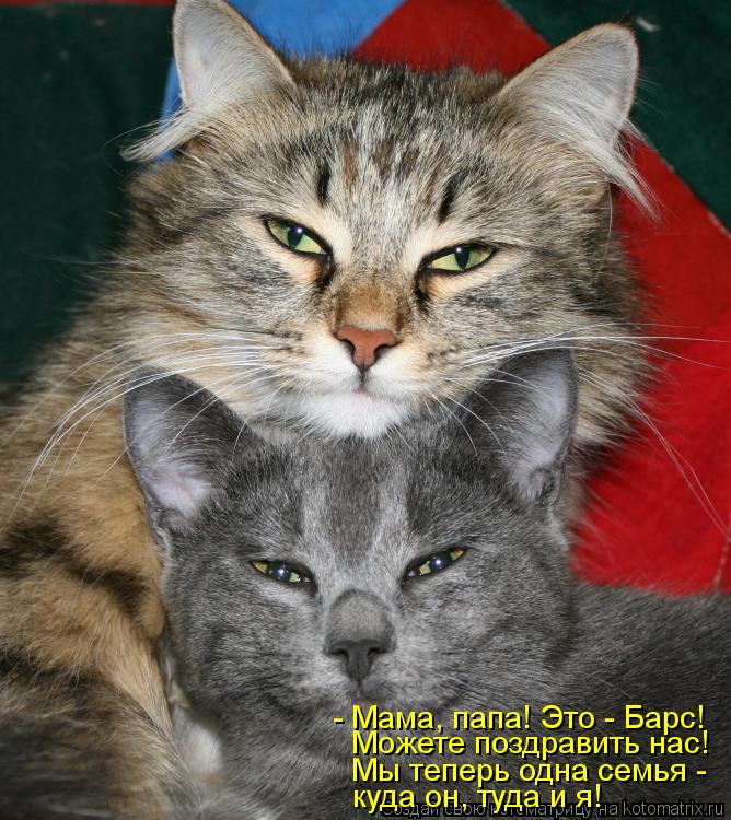 - Мама, папа! Это - Барс! Можете поздравить нас! Мы теперь одна семья - куда он, туда и я!... Котоматрица: - Мама, папа! Это - Барс! Можете поздравить нас! Мы теперь одна семья - куда он, туда и я!
