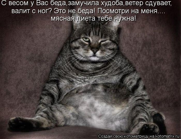 С весом у Вас беда,замучила худоба,ветер сдувает, валит с ног? Это не беда! Посмотри на меня.... мясн... Котоматрица: С весом у Вас беда,замучила худоба,ветер сдувает, валит с ног? Это не беда! Посмотри на меня.... мясная диета тебе нужна!