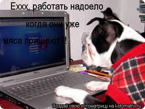 Еххх, работать надоело когда они уже мяса пришлют?!... Котоматрица: Еххх, работать надоело когда они уже мяса пришлют?!