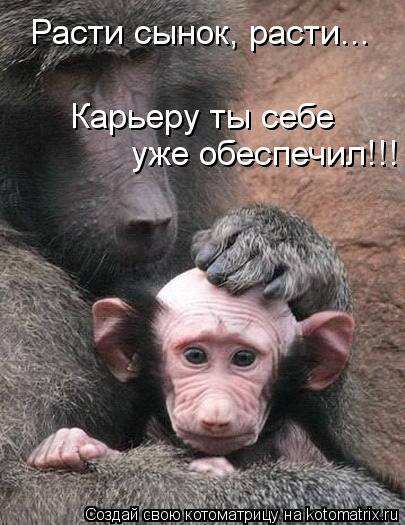 Расти сынок, расти... Карьеру ты себе уже обеспечил!!!... Котоматрица: Расти сынок, расти... Карьеру ты себе уже обеспечил!!!