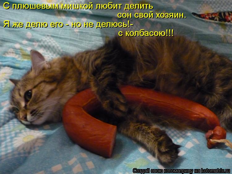 Котоматрица: С плюшевым мишкой любит делить сон свой хозяин. с колбасою!!! Я же делю его - но не делюсь!-