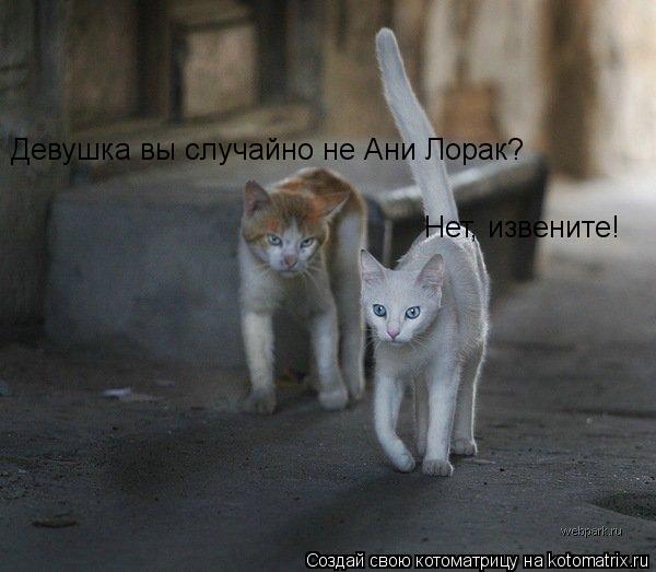 Девушка вы случайно не Ани Лорак? Нет, извените!... Котоматрица: Девушка вы случайно не Ани Лорак? Нет, извените!