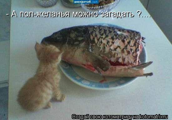 - А пол-желанья можно загадать ?....... Котоматрица: - А пол-желанья можно загадать ?....