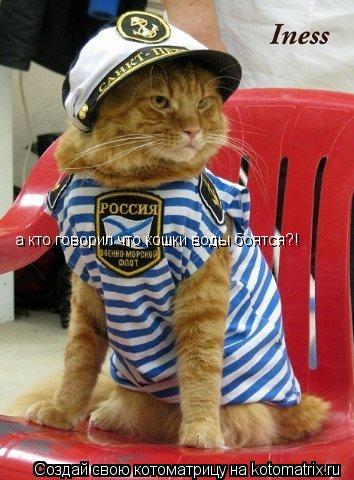 а кто говорил что кошки воды боятся?!... Котоматрица: а кто говорил что кошки воды боятся?!