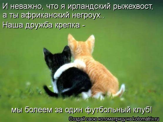 И неважно, что я ирландский рыжехвост, а ты африканский негроух.. Наша дружба крепка - мы болеем за ... Котоматрица: И неважно, что я ирландский рыжехвост, а ты африканский негроух.. Наша дружба крепка - мы болеем за один футбольный клуб!