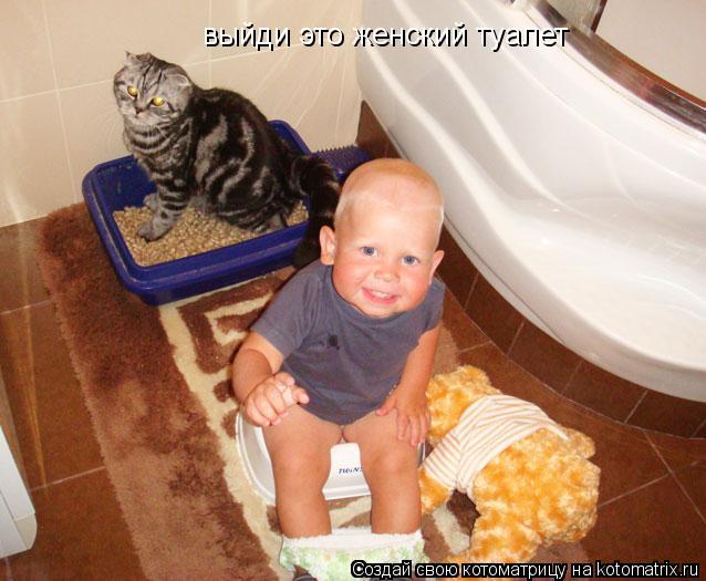 выйди это женский туалет... Котоматрица: выйди это женский туалет