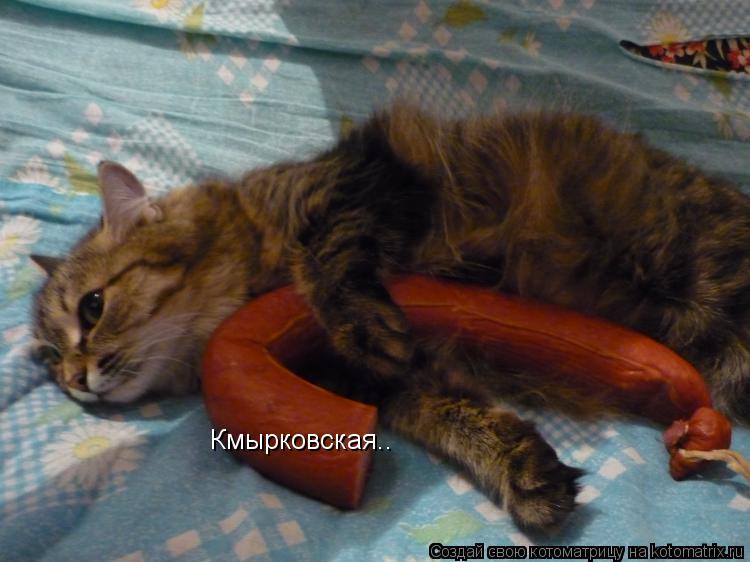 Кмырковская..... Котоматрица: Кмырковская..