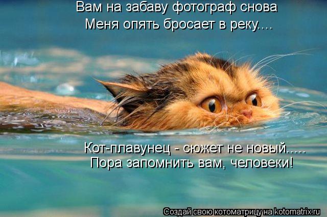 Вам на забаву фотограф снова Меня опять бросает в реку.... Кот-плавунец - сюжет не новый..... Пора за... Котоматрица: Вам на забаву фотограф снова Меня опять бросает в реку.... Кот-плавунец - сюжет не новый..... Пора запомнить вам, человеки!