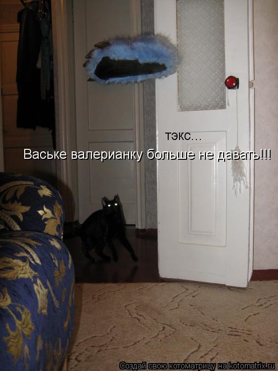 тэкс... Ваське валерианку больше не давать!!!... Котоматрица: тэкс... Ваське валерианку больше не давать!!!