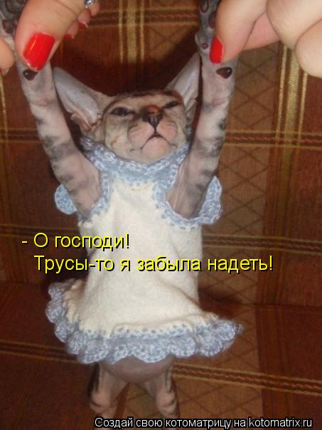 - О господи! Трусы-то я забыла надеть!... Котоматрица: - О господи! Трусы-то я забыла надеть!