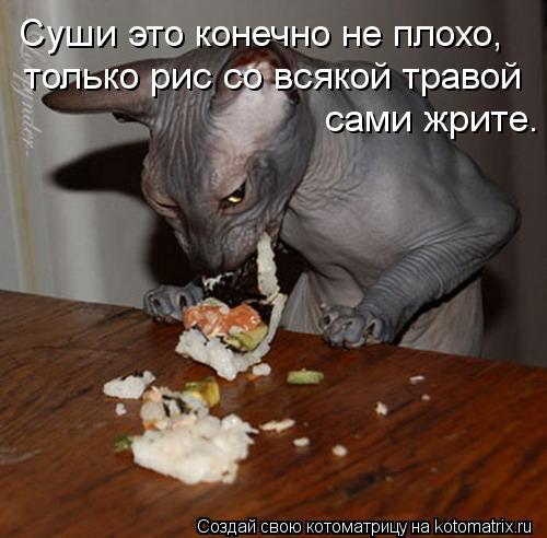 Суши это конечно не плохо, только рис со всякой травой сами жрите.... Котоматрица: Суши это конечно не плохо, только рис со всякой травой сами жрите.