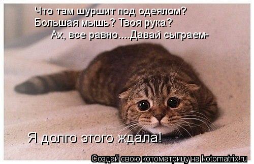 Что там шуршит под одеялом? Ах, все равно....Давай сыграем- Я долго этого ждала! Большая мышь? Твоя р... Котоматрица: Что там шуршит под одеялом? Ах, все равно....Давай сыграем- Я долго этого ждала! Большая мышь? Твоя рука?
