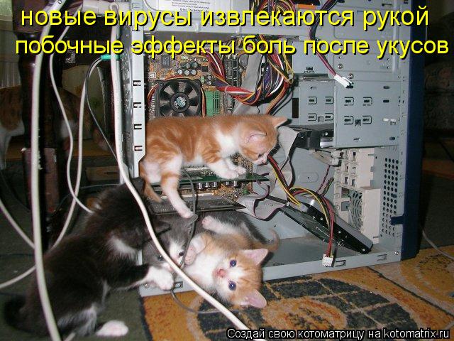 новые вирусы извлекаются рукой побочные эффекты боль после укусов... Котоматрица: новые вирусы извлекаются рукой побочные эффекты боль после укусов
