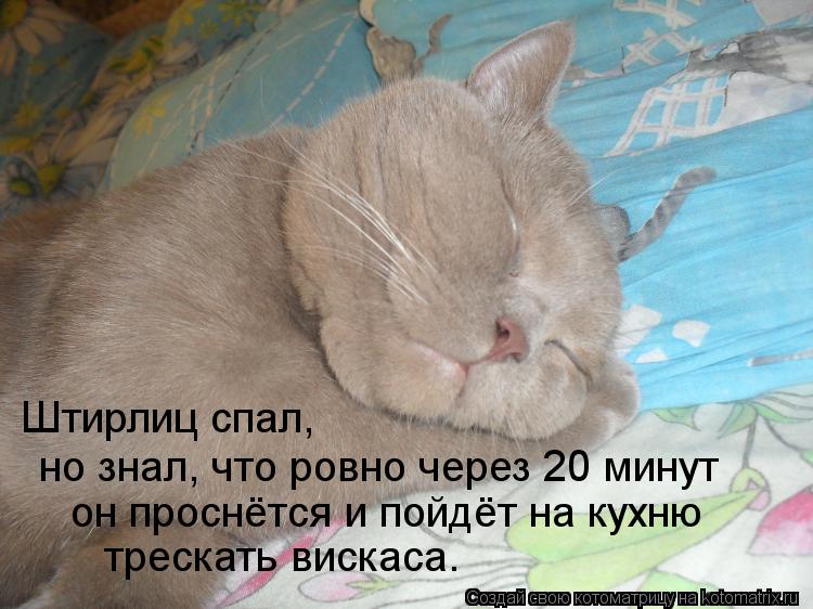Штирлиц спал, но знал, что ровно через 20 минут он проснётся и пойдёт на кухню трескать вискаса.... Котоматрица: Штирлиц спал, но знал, что ровно через 20 минут он проснётся и пойдёт на кухню трескать вискаса.