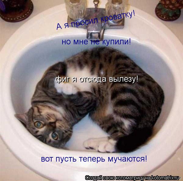 А я просил кроватку! но мне не купили! вот пусть теперь мучаются! фиг я отсюда вылезу!... Котоматрица: А я просил кроватку! но мне не купили! вот пусть теперь мучаются! фиг я отсюда вылезу!