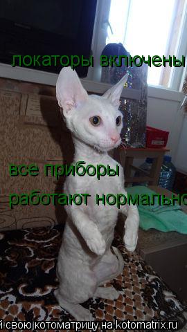 локаторы включены все приборы работают нормально... Котоматрица: локаторы включены все приборы работают нормально