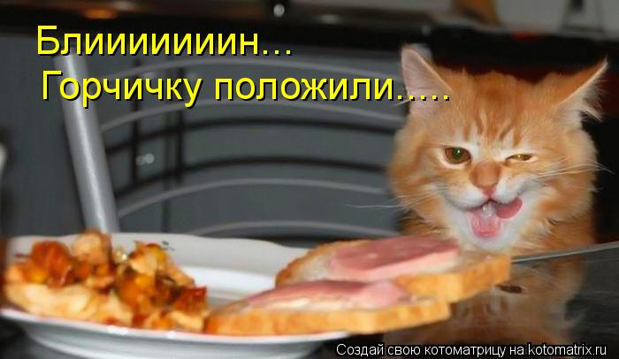Блииииииин... Горчичку положили........ Котоматрица: Блииииииин... Горчичку положили.....