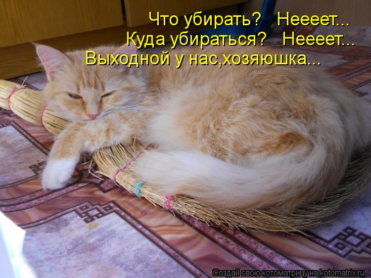 Что убирать? Неееет... Куда убираться? Неееет... Выходной у нас,хозяюшка...... Котоматрица: Что убирать? Неееет... Куда убираться? Неееет... Выходной у нас,хозяюшка...
