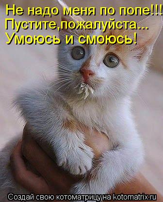 Не надо меня по попе!!! Пустите,пожалуйста... Умоюсь и смоюсь!... Котоматрица: Не надо меня по попе!!! Пустите,пожалуйста... Умоюсь и смоюсь!