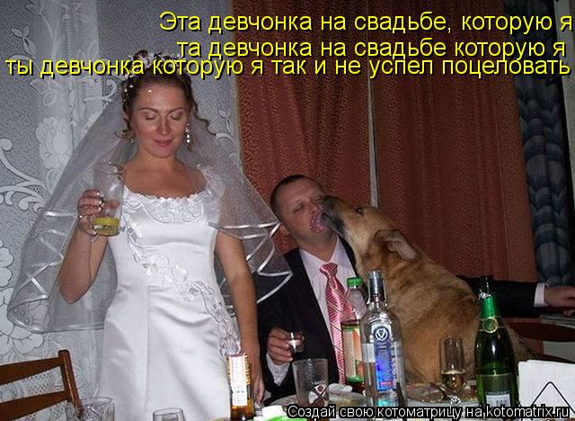 Эта девчонка на свадьбе, которую я та девчонка на свадьбе которую я ты девчонка которую я так и не ус... Котоматрица: Эта девчонка на свадьбе, которую я та девчонка на свадьбе которую я ты девчонка которую я так и не успел поцеловать