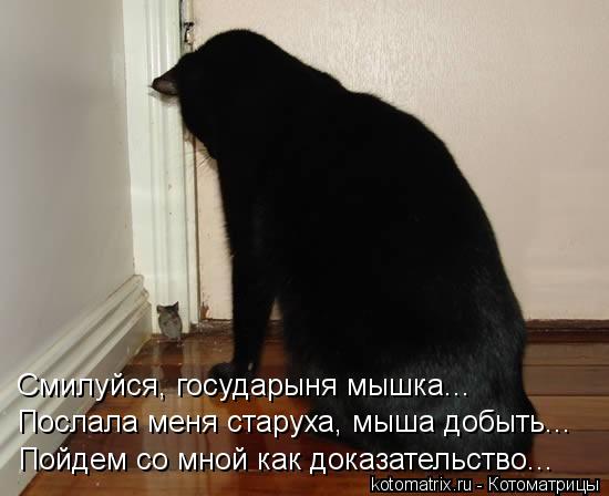 Смилуйся, государыня мышка... Послала меня старуха, мыша добыть... Пойдем со мной как доказательство.... Котоматрица: Смилуйся, государыня мышка... Послала меня старуха, мыша добыть... Пойдем со мной как доказательство...