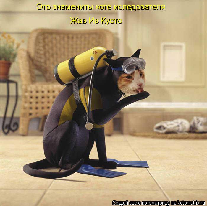 Это знамениты коте иследователя Жав Ив Кусто... Котоматрица: Это знамениты коте иследователя Жав Ив Кусто