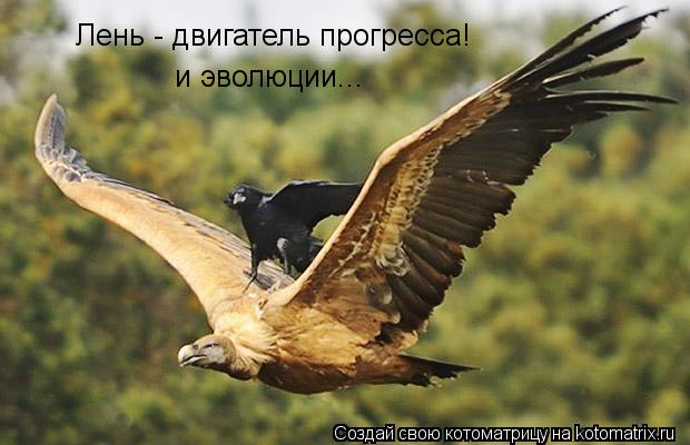 Лень - двигатель прогресса! и эволюции...... Котоматрица: Лень - двигатель прогресса! и эволюции...