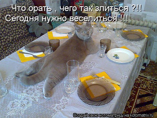 Что орать , чего так злиться ?!! Сегодня нужно веселиться !!!... Котоматрица: Что орать , чего так злиться ?!! Сегодня нужно веселиться !!!