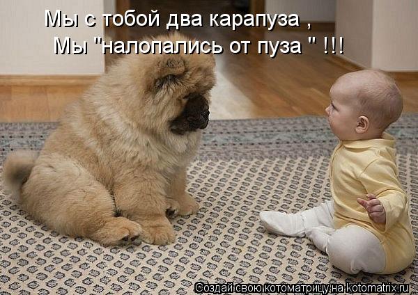 Мы с тобой два карапуза , Мы "налопались от пуза " !!!... Котоматрица: Мы с тобой два карапуза , Мы "налопались от пуза " !!!