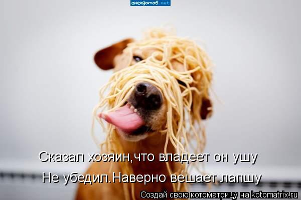 Сказал хозяин,что владеет он ушу Не убедил.Наверно вешает лапшу... Котоматрица: Сказал хозяин,что владеет он ушу Не убедил.Наверно вешает лапшу