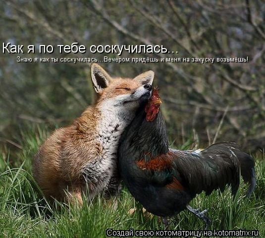 Как я по тебе соскучилась... Знаю я как ты соскучилась...Вечером придёшь и меня на закуску возьмёшь!... Котоматрица: Как я по тебе соскучилась... Знаю я как ты соскучилась...Вечером придёшь и меня на закуску возьмёшь!
