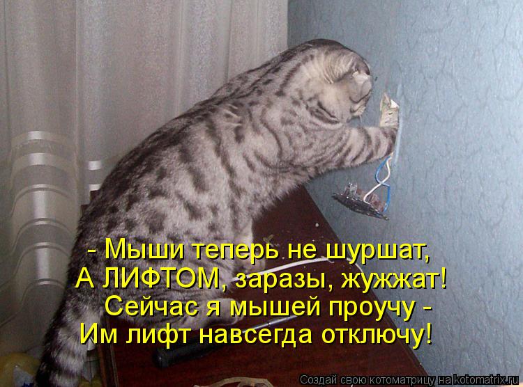 - Мыши теперь не шуршат, А ЛИФТОМ, заразы, жужжат! Сейчас я мышей проучу - Им лифт навсегда отключу!... Котоматрица: - Мыши теперь не шуршат, А ЛИФТОМ, заразы, жужжат! Сейчас я мышей проучу - Им лифт навсегда отключу!
