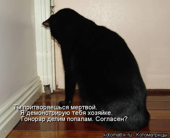 Ты притворяешься мертвой. Я демонстрирую тебя хозяйке. Гонорар делим попалам. Согласен?... Котоматрица: Ты притворяешься мертвой. Я демонстрирую тебя хозяйке. Гонорар делим попалам. Согласен?