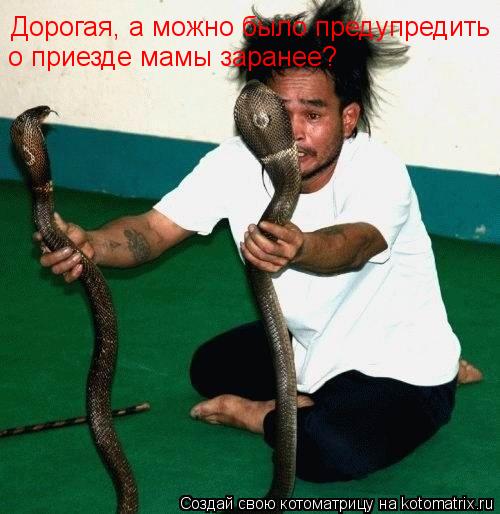 Дорогая, а можно было предупредить о приезде мамы заранее?... Котоматрица: Дорогая, а можно было предупредить о приезде мамы заранее?
