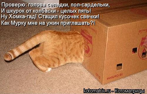 Проверю: голова селедки, пол-сардельки, И шкурок от колбаски - целых пять! Ну Хомка-гад! Стащил кусоч... Котоматрица: Проверю: голова селедки, пол-сардельки, И шкурок от колбаски - целых пять! Ну Хомка-гад! Стащил кусочек свечки! Как Мурку мне на ужин приглаша