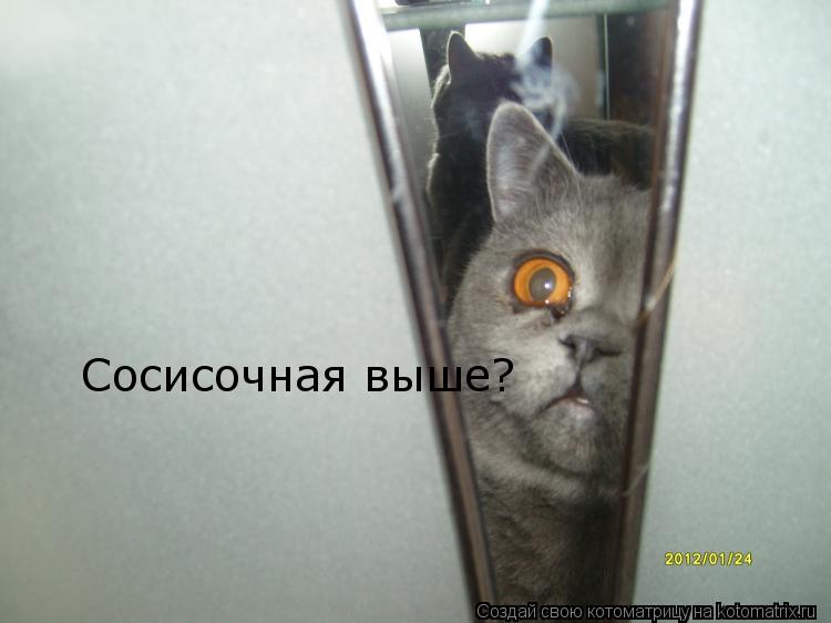 Сосисочная выше?... Котоматрица: Сосисочная выше?