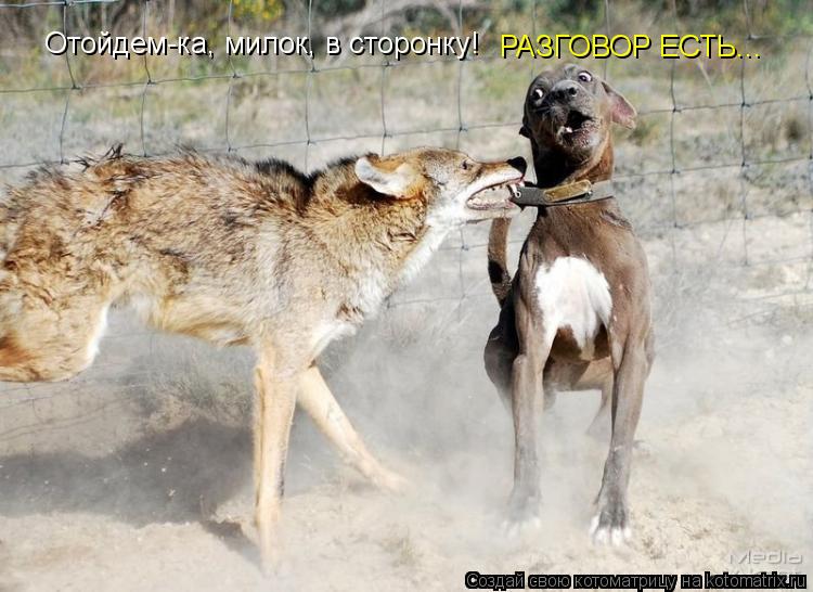 Отойдем-ка, милок, в сторонку! РАЗГОВОР ЕСТЬ...... Котоматрица: Отойдем-ка, милок, в сторонку! РАЗГОВОР ЕСТЬ...